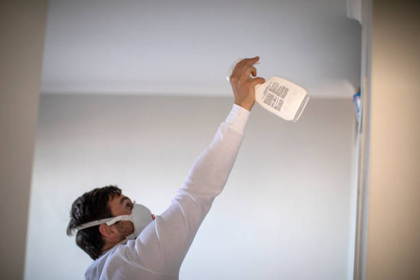 Best Local Mold Removal Service  in Estacada, OR