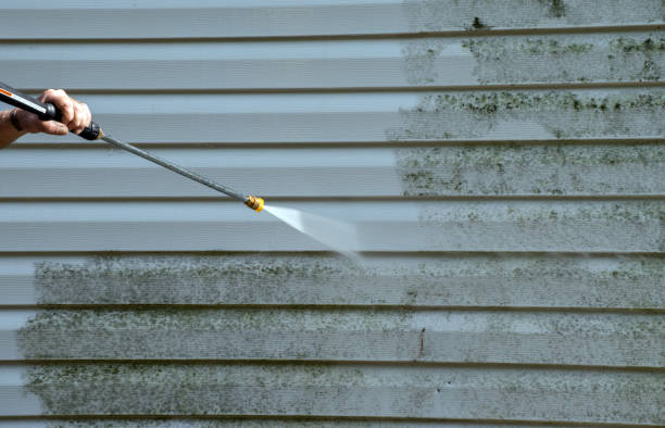Best Toxic Mold Removal  in Estacada, OR