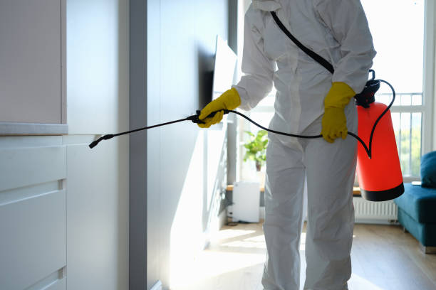 Best Best Mold Removal Companies  in Estacada, OR