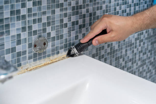 Best Mold Cleaning Services  in Estacada, OR